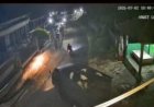 Polisi Ungkap Kasus Pencurian Sapi Demi Jaga Rasa Aman Masyarakat